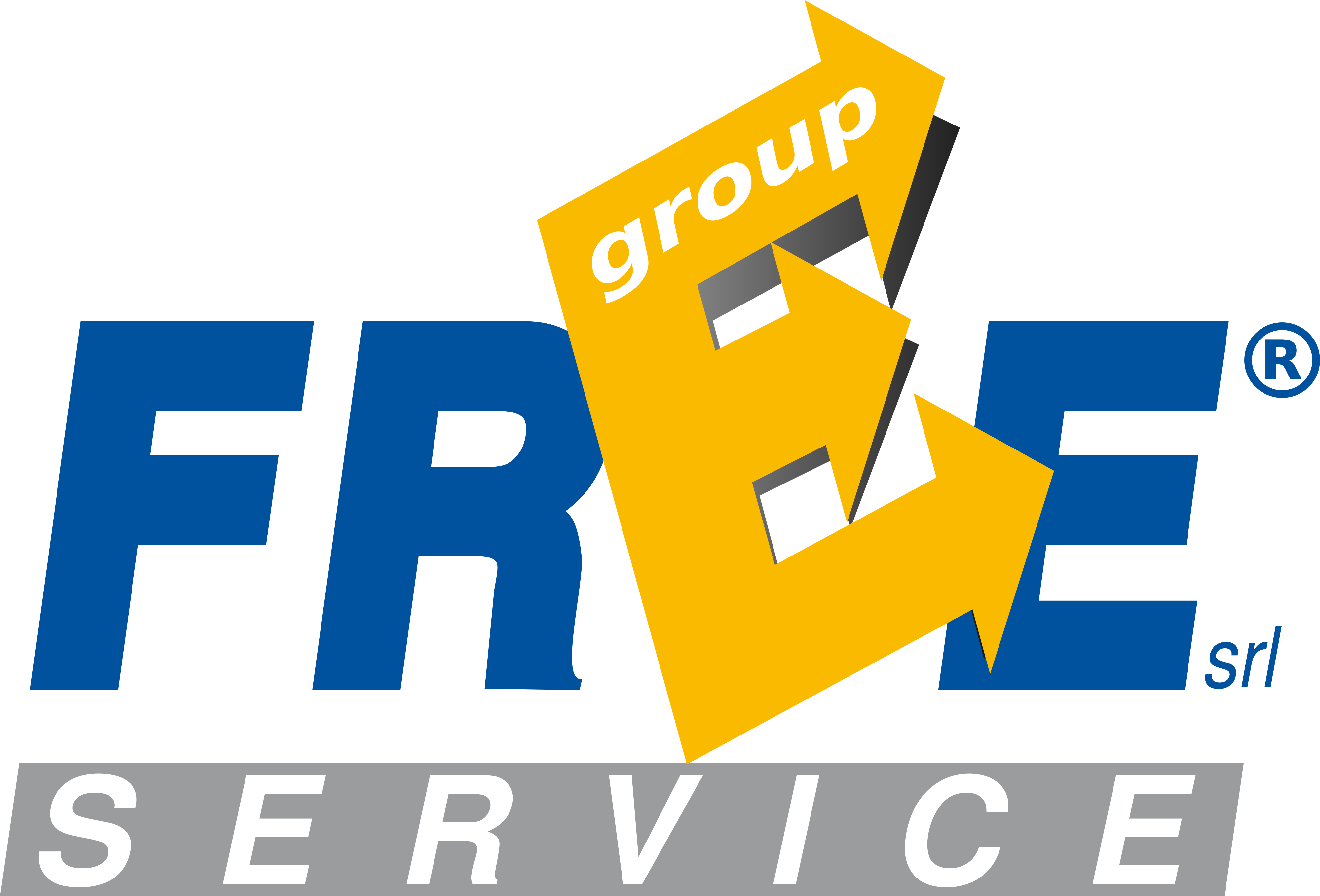 Freeservicegroup srl