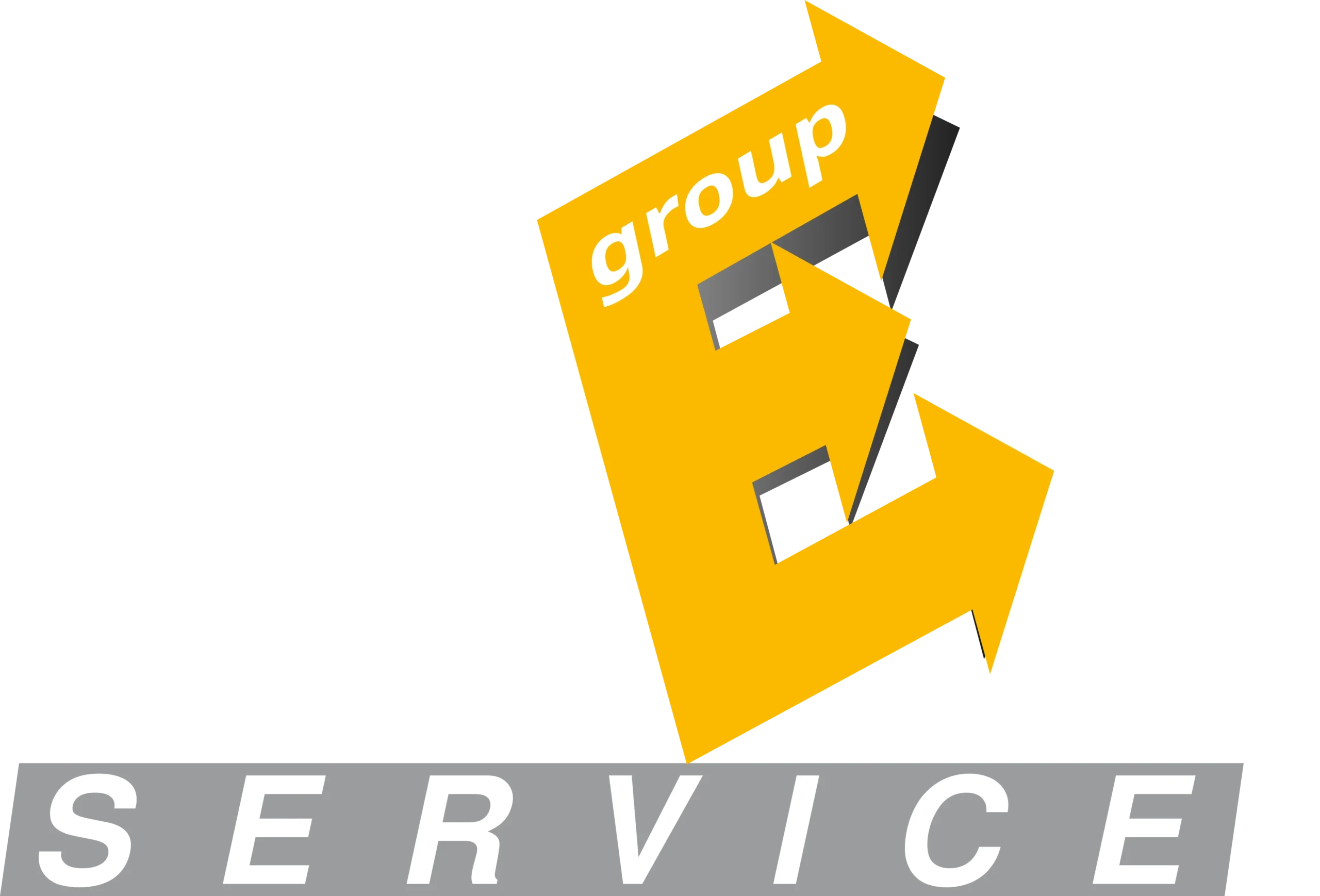 Freeservicegroup srl